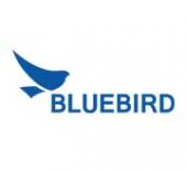 Pidion (Bluebird Inc), 